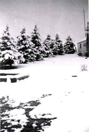 Hi Ute Ranch, Winter 1958